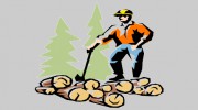 Fleming's Tree Services