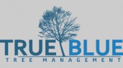 True Blue Trees