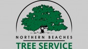 Northern Beaches Stump Grinding