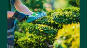 Mudgeeraba Plant Hire