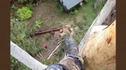 Branch Creek Tree Services