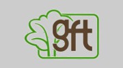 Green Forest Timber