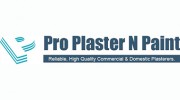 Professional Plaster & Paint Services