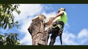 Grandview Tree Care