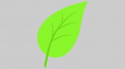 Seabreeze Landscape Supplies
