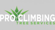 Pro Climbing Tree Services