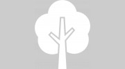 John Henry Tree Services
