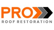 Pro Roof Restoration