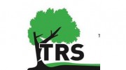 The Tree Removal Service