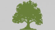 Focus Tree Care