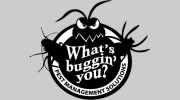 Whats Buggin You