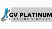 GV Platinum Cleaning