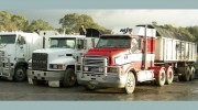 MJS Tree & Stump Contractors