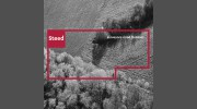 Steed Surveyors