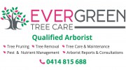 Evergreen Tree Care