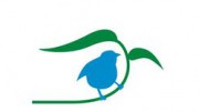 ACT Tree Felling