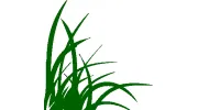 Wano Mowing & Gardening