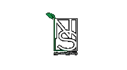 NS Landscapes