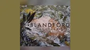 Blandford Landscapes