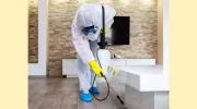Pest Control Franklin