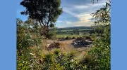 Sue Meli Landscape Designs