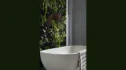 Matrix Renovations