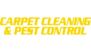 Professional Carpet Cleaning