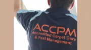 Carpet Cleaning Brisbane