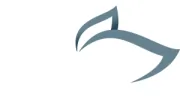 Insight Landscapes