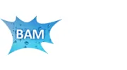 BAM Window Cleaning