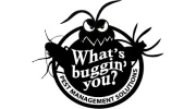 Whats Buggin You
