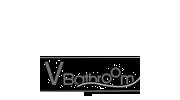 V Bathroom