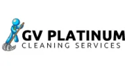 GV Platinum Cleaning