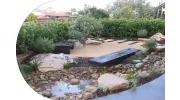 Peaceful Landscapes