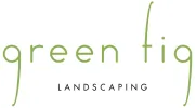 Green Fig