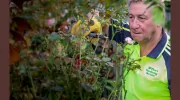 McPhees Gardening Services
