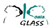 Koala Glass