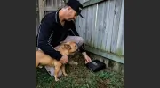 Bernie's Pest Control