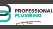 Professional Plumbing