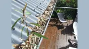 We Clean Gutters