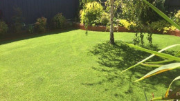 Artificial Grass Installation