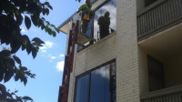 Commercial Windows