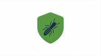 Termite Treatment